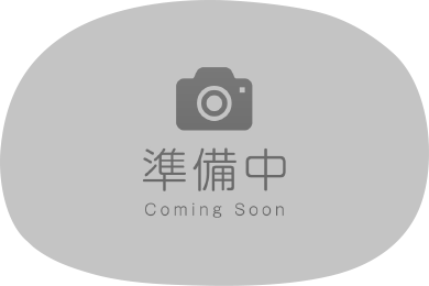 テキストテキストテキスト